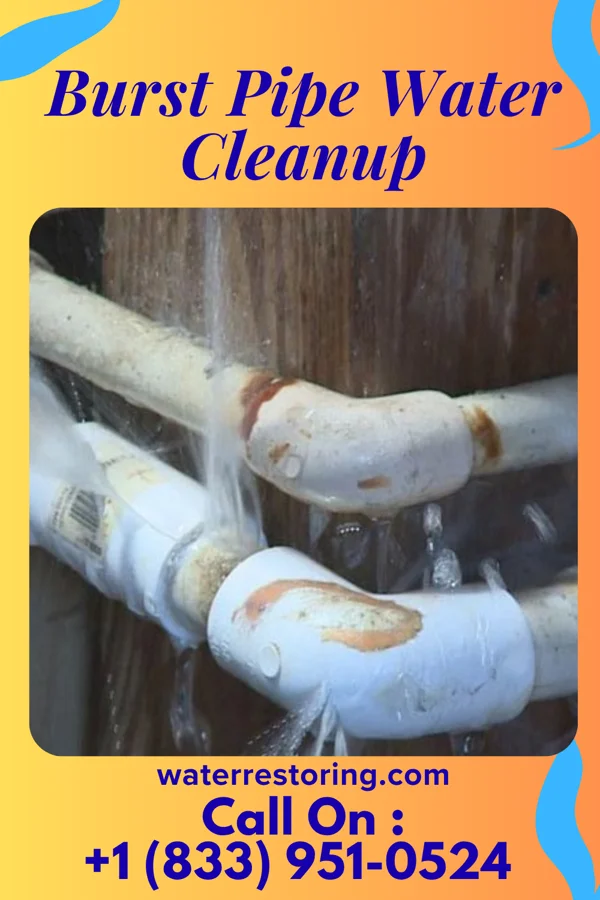 Burst Pipe Water Cleanup in Westwood, NJ