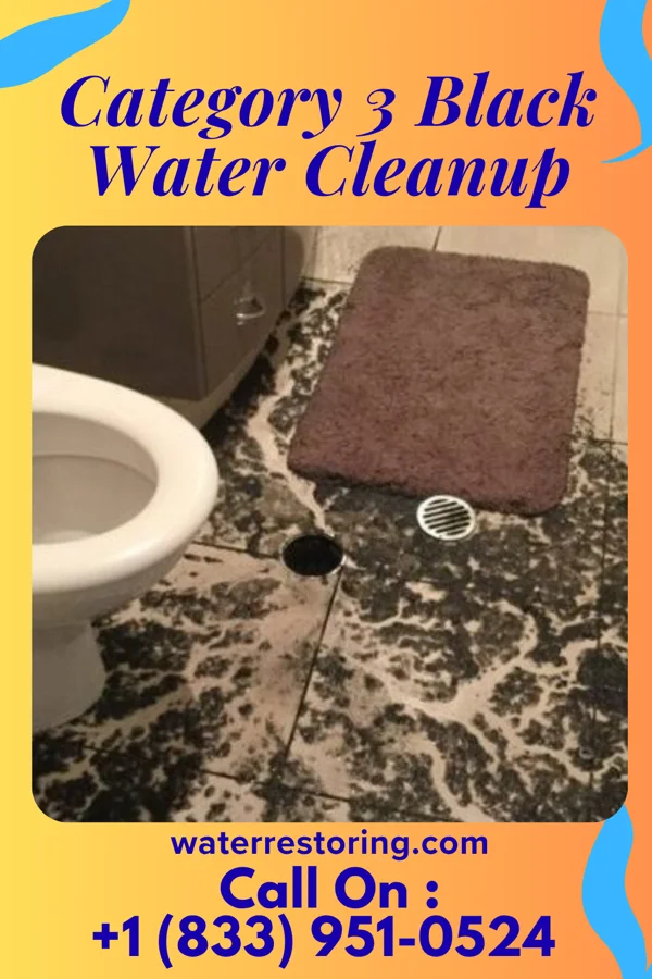 Category 3 Black Water Cleanup in Westwood, NJ