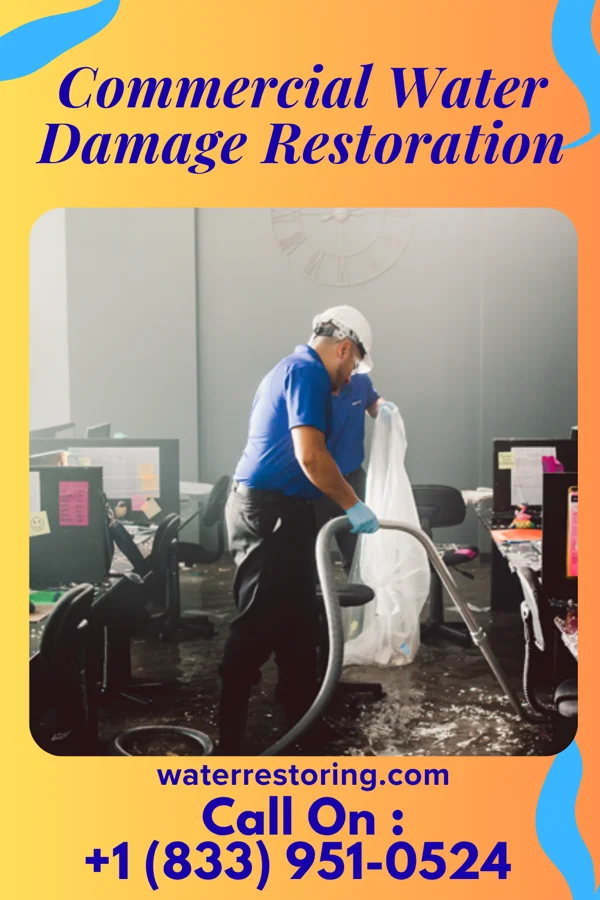 Commercial Water Damage Restoration in Westwood, NJ