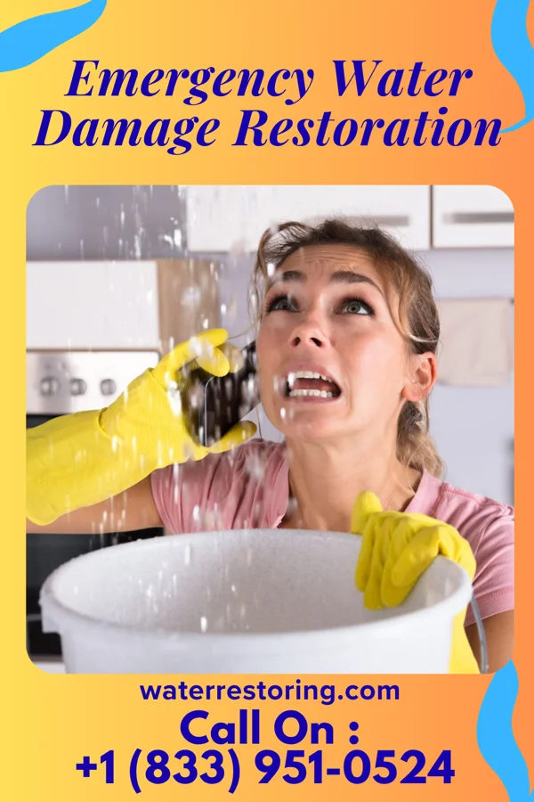 Emergency Water Damage Restoration in Westwood, NJ