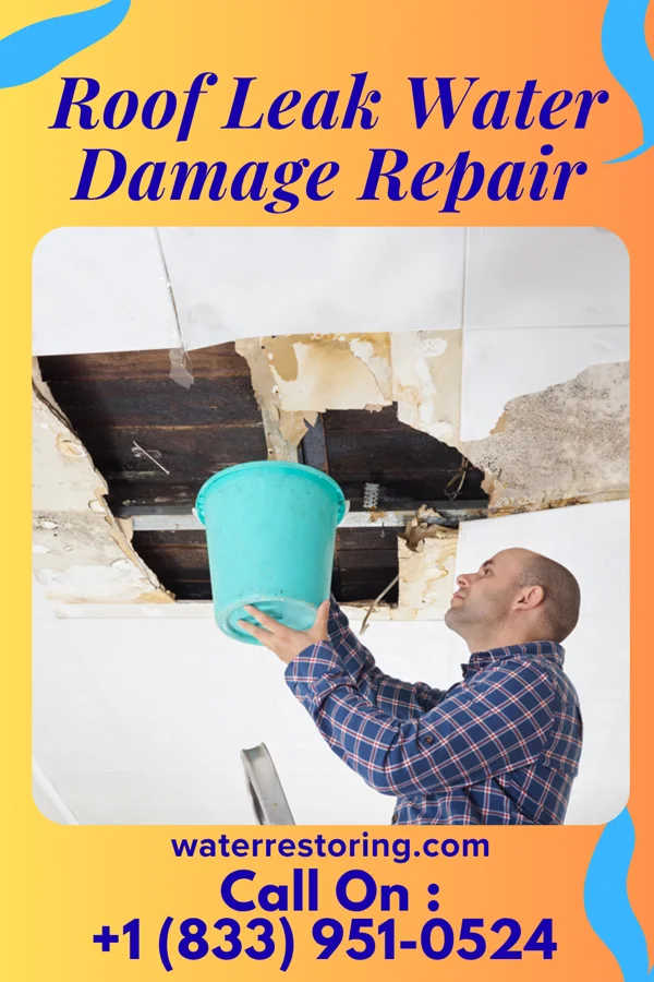 Roof Leak Water Damage Repair in Westwood, NJ