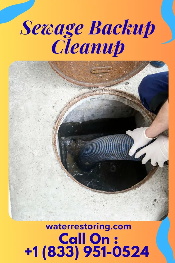 Sewage Backup Cleanup in Westwood, NJ
