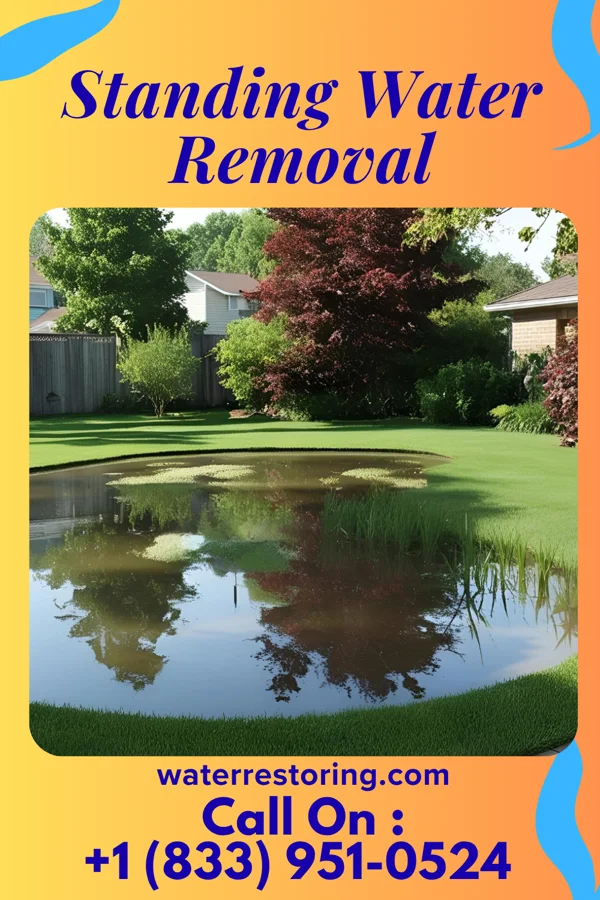 Standing Water Removal in Westwood, NJ